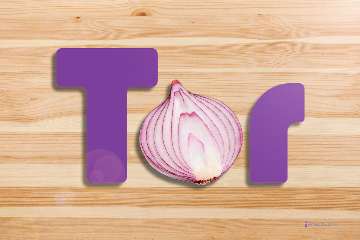 Tor browser вся правда мега скачать браузер тор бесплатно mega